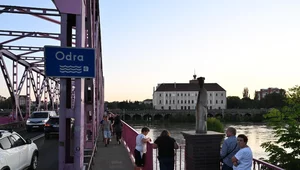 Miniatura: Odra przeleje się przez wały? Prawie...