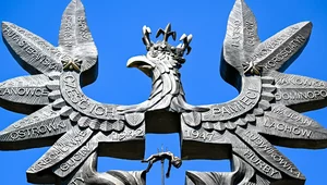 Miniatura: Zdewastował pomnik w Domostawie....