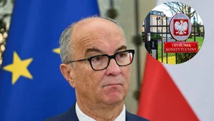 Miniatura: Brak ustawowego stażu do TK? Czarzasty:...