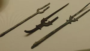 Miniatura: Kto pierwszy jadł widelcem? Nieoczywista...