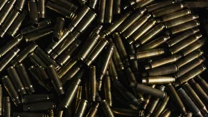 Miniatura: Chcieli preferencji dla państw UE...