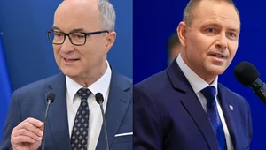 Miniatura: Zamrożone projekty ustaw. Sejm odpowiada...