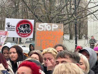 Protest pod&nbsp;Sejmem dot. problemu bezdomności zwierząt