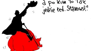 Miniatura: Krzysztof Stanowski i czerwone świnie