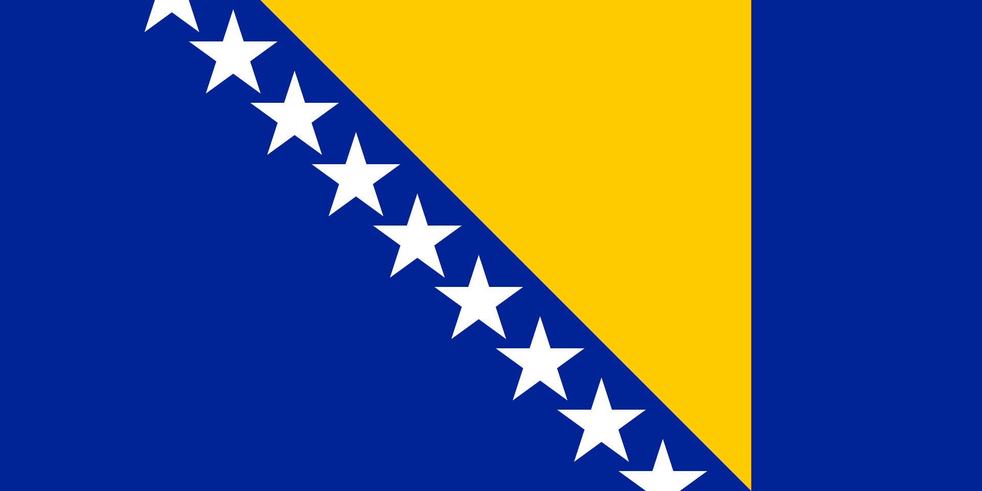 Kto zdecydował o wyglądzie flagi Bośni i Hercegowiny?