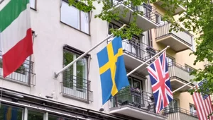 Miniatura: Kogo lubią Polacy? Amerykanie drudzy,...