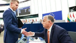 Miniatura: Wybory na Węgrzech. Lider opozycji...