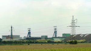 Miniatura: Chcą zasypać azbestem szyby kopalni w...