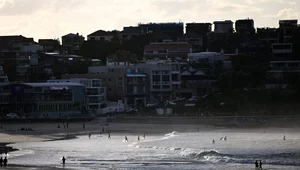 Miniatura: Strzelanina podczas święta Chanuki w...