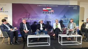 Miniatura: PHALS: Globalna gra o inwestycje....