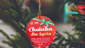 Miniatura: Choinki w podzięce dla krwiodawców