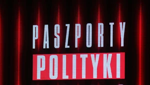 Miniatura: Paszporty Antykultury