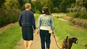 Miniatura: Rząd przyjął głośny projekt. Co zakłada...