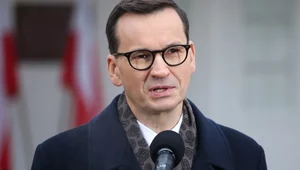 Miniatura: Niemcy sprzedali skradzioną akwarelę....