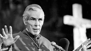 Miniatura: USA: "Abp Sheen jest czysty". Nowe...