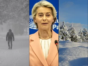 Miniatura: W Brukseli rządzą niebezpieczni wariaci....