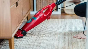 Miniatura: Potwory dwugłowe