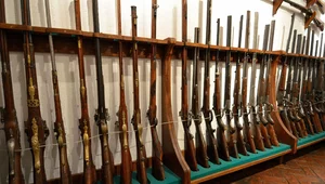 Miniatura: Dwulatka postrzelona z broni myśliwskiej....