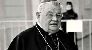 Miniatura: Z mroku w szarówkę