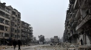 Sępy nad Syrią