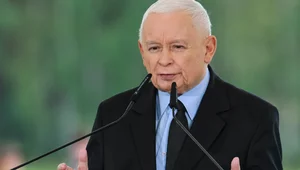 Miniatura: Ostatnia gra Kaczyńskiego