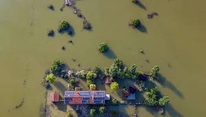 Miniatura: Włoski rząd wprowadza stan kryzysowy....