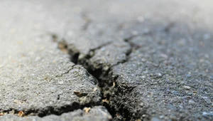 Miniatura: Najsilniejsze trzęsienie ziemi w tym roku....