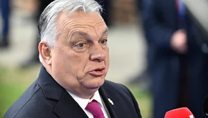 Miniatura: Wiceszefowa KE jak Hitler. Orban nie...