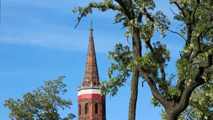 Miniatura: W Dzień Flagi RP: czego nie wiesz o...