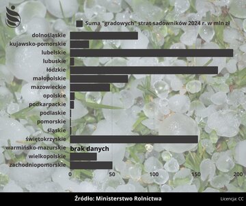 Straty -&nbsp;przymrozki. Wykres Ministerstwa Rolnictwa