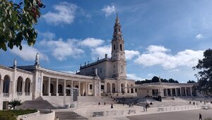 Miniatura: Portugalia: Kardynał potępił atak ekologów...
