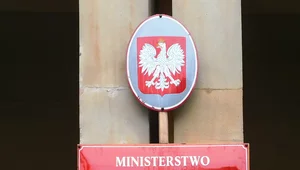 Miniatura: Gospodarka wodorowa w Polsce. MKiŚ...