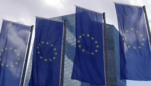 Miniatura: Jak unijne elity budują europejską federację