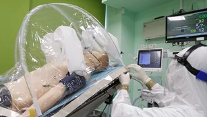 Miniatura: Bank Pekao i jego pracownicy nie ustają w...