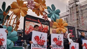 Miniatura: Polska nie chce aborcji! Krajobraz po...