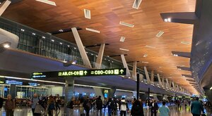 Miniatura: Ewakuacja Polaków z Bliskiego Wschodu....