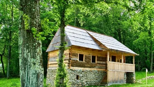 Miniatura: Męki neowieśniaków