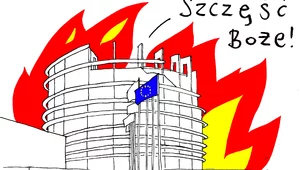 Miniatura: Eksperyment Braun