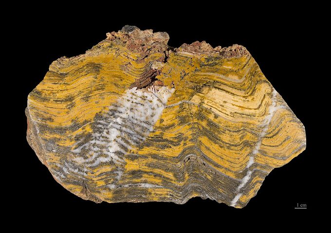 Stromatolity z Australii. Ich wiek to ok. 3,4 mld lat