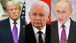 Miniatura: Wielomski rozwija hipotezę, dlaczego...