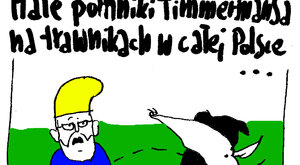 Miniatura: Małe pomniki Timmermansa