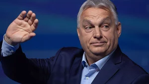 Miniatura: Europa w szoku, Orban reaguje....