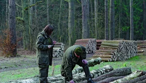 Miniatura: Nowy regulamin stabilizuje ceny