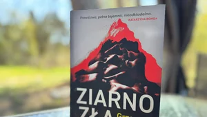 Miniatura: Miasto w białych rękawiczkach. O moralnych...