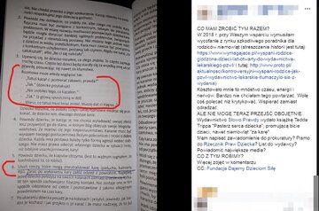 W&nbsp;podręczniku "Pasterz serca dziecka" pastor Tedd Tripp pisze o&nbsp;wychowywaniu dzieci, w&nbsp;tym o&nbsp;karach cielesnych.