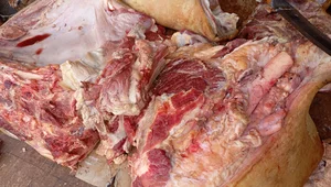 Miniatura: Skażona wołowina. Zapadła decyzja