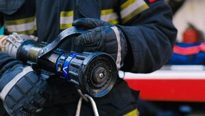 Miniatura: Szokujące doniesienia spod Poznania....