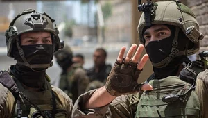 Miniatura: Wyciekła notatka holenderskiej ambasady....