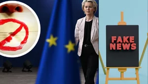 Miniatura: Analityk opisał, jak skoordynowany system...