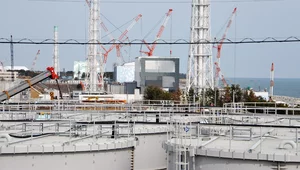 Miniatura: Spór o spust wody z Fukushimy. Chiny...